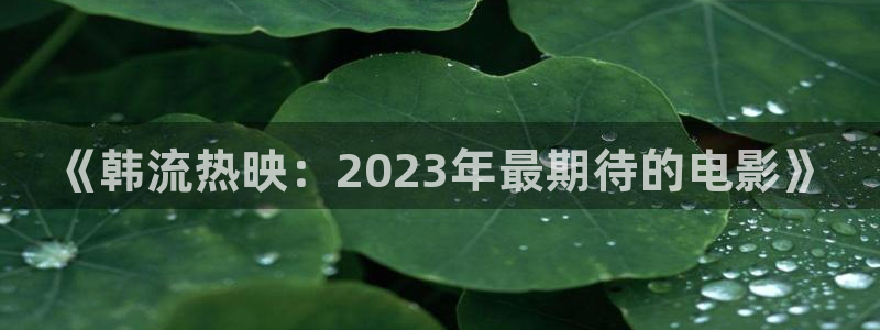 青苹果影院理伦片